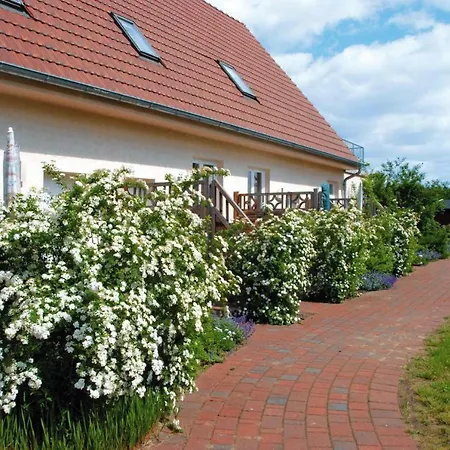 Muritzsee Buchholz - Dms02100-iyi * Buchholz (Mecklenburg-Vorpommern)
